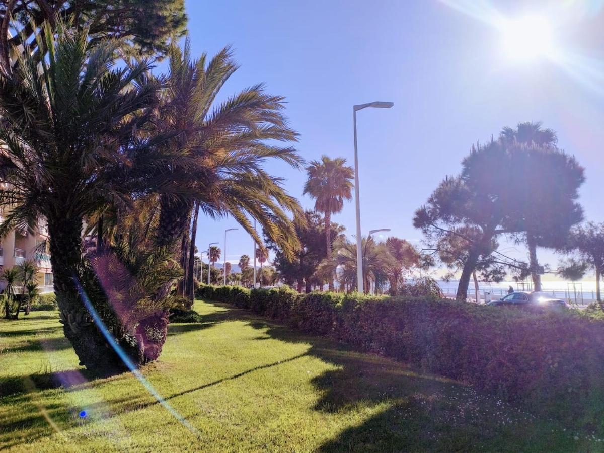 Apartment Nouveau ! Avec Terrasse Dans En Face De La - Midi Cannes
